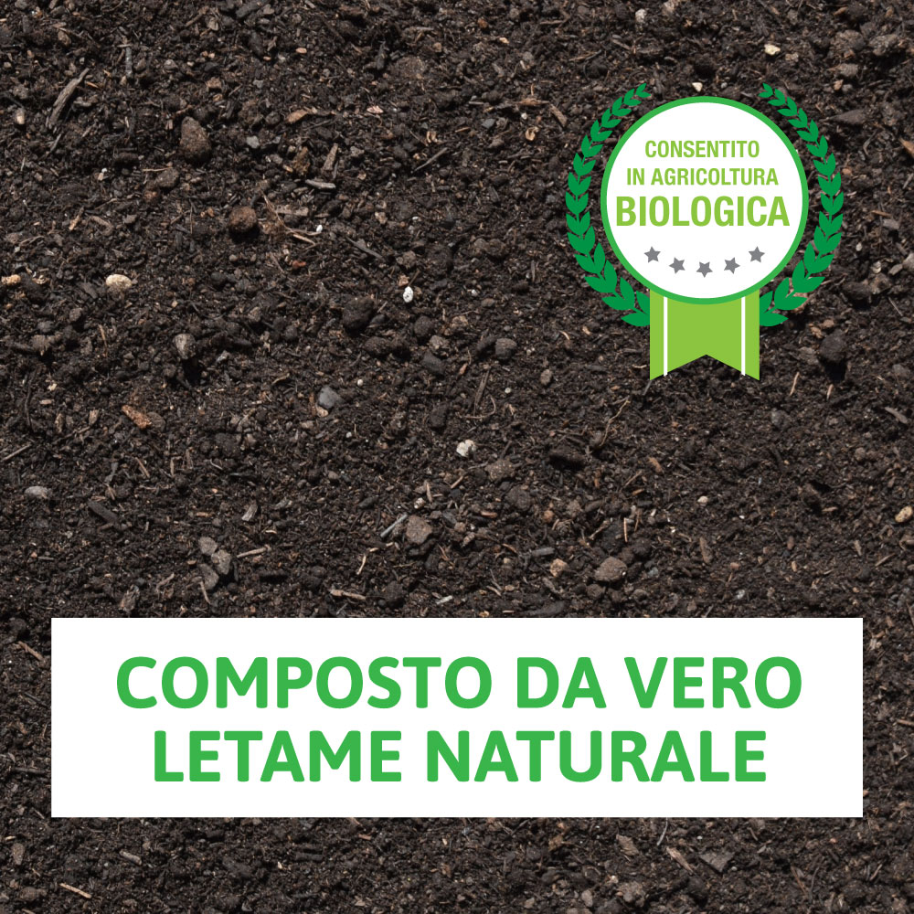 Acquaverde 4 Sacchi Da 25 Kg Biorex Stallatico Letame Organico Naturale | 100 Kg