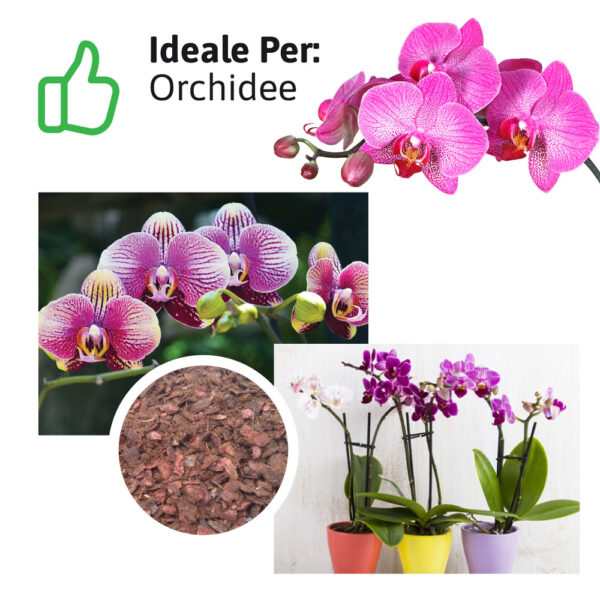 Terriccio Orchidee utilizzo
